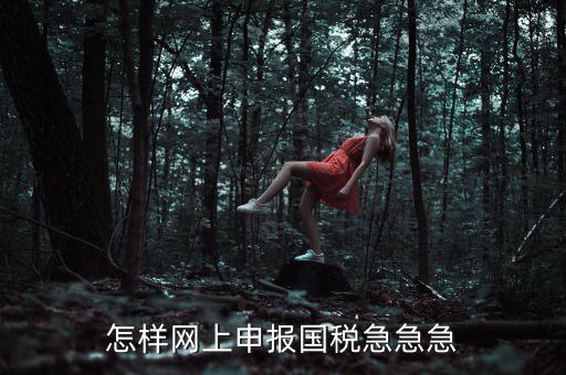 國稅網(wǎng)上稅務(wù)如何申報，怎樣網(wǎng)上申報國稅急急急