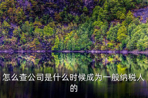 如何查詢一般人納稅認(rèn)定時(shí)間，怎么查公司是什么時(shí)候成為一般納稅人的