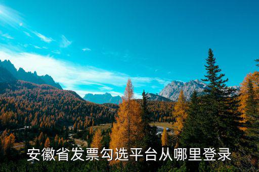 安徽省如何在網(wǎng)上申請購發(fā)票，安徽省發(fā)票勾選平臺從哪里登錄