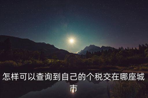 如何查詢個(gè)人所得稅所交地點(diǎn)，怎樣可以查詢到自己的個(gè)稅交在哪座城市