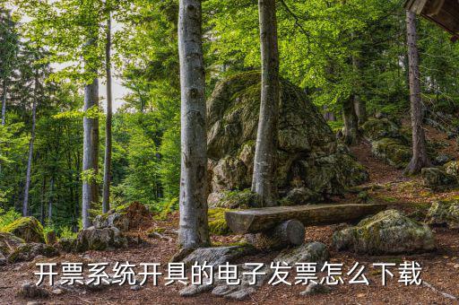 發(fā)票助手如何安裝在手機(jī)上，增值稅發(fā)票稅控開(kāi)票軟件怎么安裝