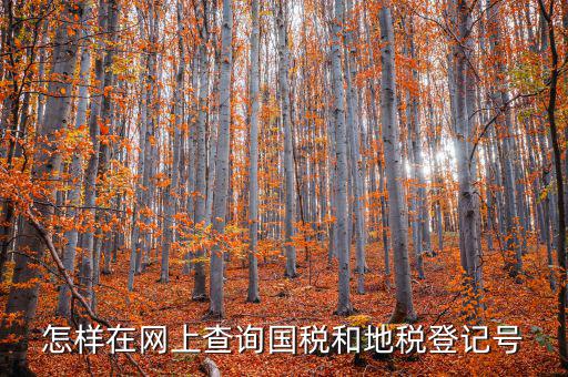 怎樣在網(wǎng)上查詢國稅和地稅登記號(hào)