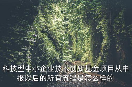 科技型中小企業(yè)技術(shù)創(chuàng)新基金項(xiàng)目從申報以后的所有流程是怎么樣的