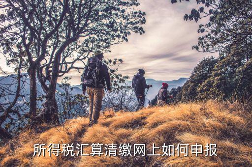 清稅申請如何在云稅廳申請，網上企業(yè)所得稅匯算清繳如何申報