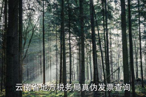 如何查詢云南國稅發(fā)票真?zhèn)尾樵?，云南省地方稅?wù)局真?zhèn)伟l(fā)票查詢