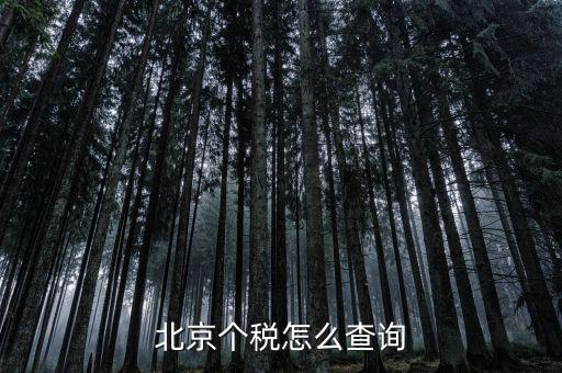 北京地稅局官網(wǎng)如何查個稅，怎么查詢最新北京個稅繳納情況