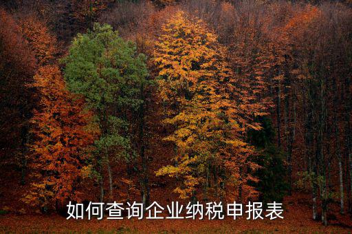 如何查詢(xún)企業(yè)納稅申報(bào)表