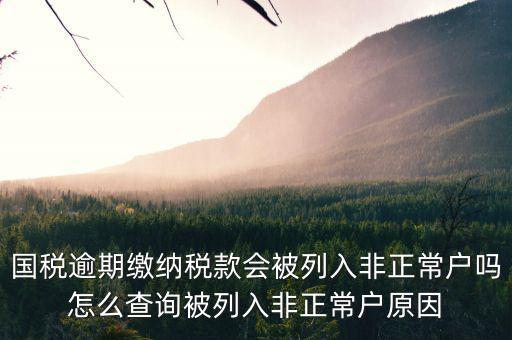 國(guó)稅逾期繳納稅款會(huì)被列入非正常戶(hù)嗎怎么查詢(xún)被列入非正常戶(hù)原因