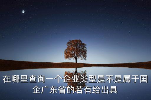 單位類(lèi)型如何查詢(xún)，如何查詢(xún)企業(yè)管理類(lèi)別