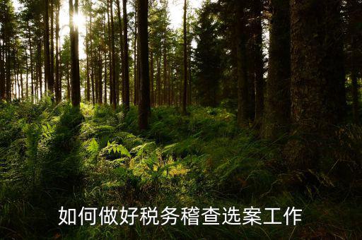 如何做到依法治稅總結(jié)，如何做好稅務(wù)稽查選案工作