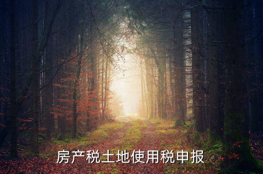 金稅三期如何申報(bào)土地使用稅，房產(chǎn)稅土地使用稅申報(bào)