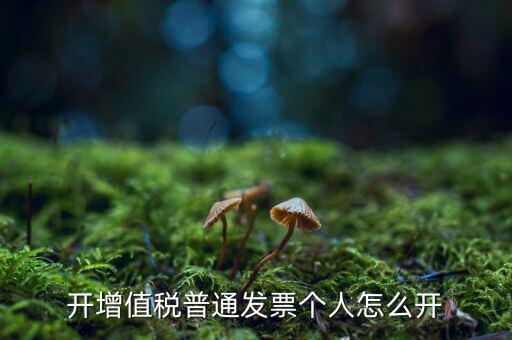 普票如何開給個人，增值稅普通發(fā)票開個人需要什么資料