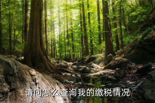 繳納稅款如何查詢(xún)，請(qǐng)問(wèn)怎么查詢(xún)我的繳稅情況