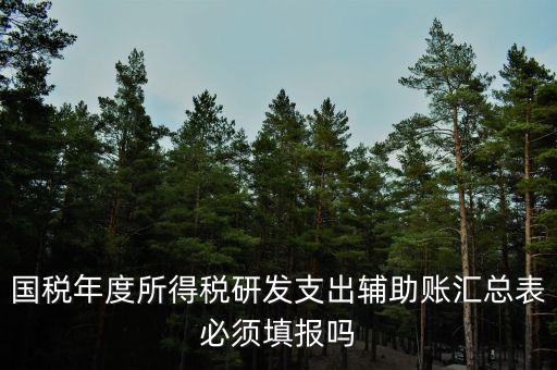 研發(fā)支出輔助賬匯總表該如何填寫，什么企業(yè)需要填 研發(fā)支出輔助賬匯總表