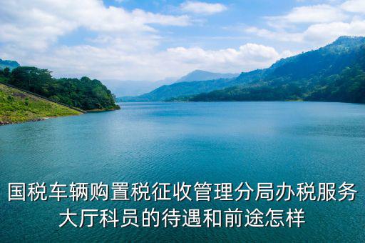 辦稅員工資如何，國稅車輛購置稅征收管理分局辦稅服務(wù)大廳科員的待遇和前途怎樣
