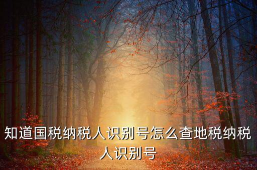 知道國稅納稅人識(shí)別號(hào)怎么查地稅納稅人識(shí)別號(hào)