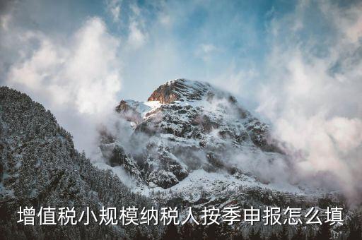 小規(guī)模納稅人如何按季申報，增值稅小規(guī)模納稅人按季申報怎么填