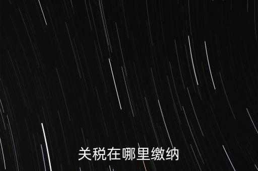 關稅在哪里繳納