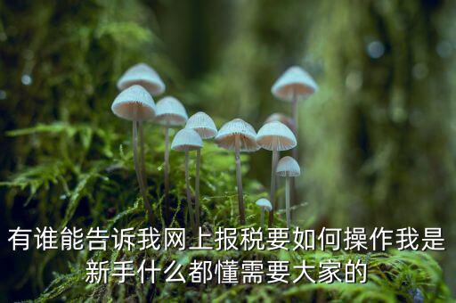 黑龍江如何報(bào)稅，黑龍江報(bào)稅