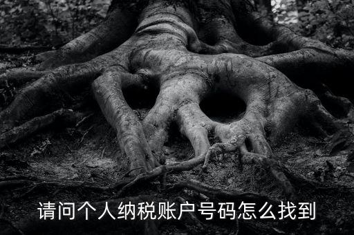 如何查詢個(gè)人稅務(wù)編號(hào)查詢，如何查看個(gè)人名下的稅務(wù)證