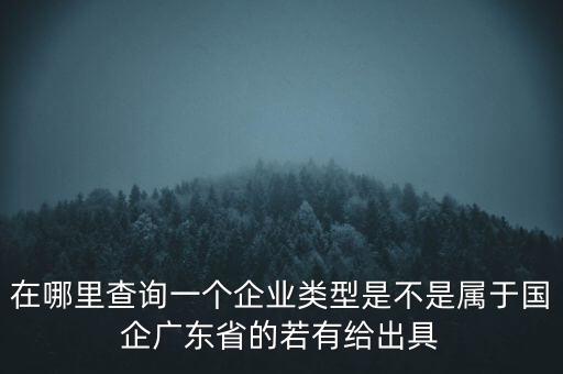 在哪里查詢(xún)一個(gè)企業(yè)類(lèi)型是不是屬于國(guó)企廣東省的若有給出具