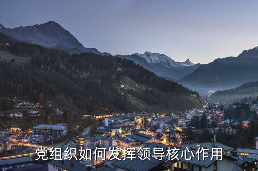 如何發(fā)揮稅務(wù)聯(lián)合黨組核心領(lǐng)導(dǎo)作用，黨組織如何發(fā)揮領(lǐng)導(dǎo)核心作用