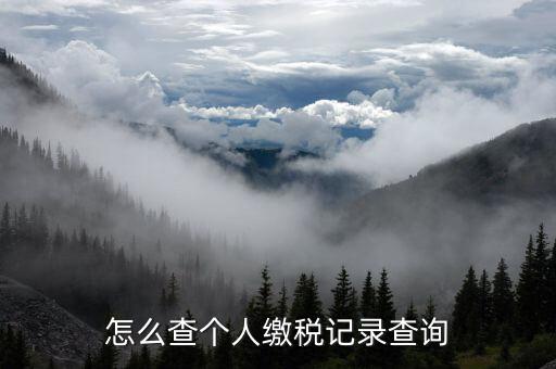 陜西省如何查詢(xún)個(gè)稅繳納記錄，怎樣查看個(gè)稅和附加稅是否已交