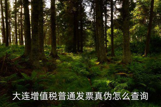 大連定額發(fā)票如何查詢系統(tǒng)，大連增值稅普通發(fā)票真?zhèn)卧趺床樵?/></a></span><span id=