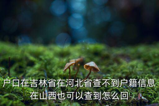 戶(hù)口在吉林省在河北省查不到戶(hù)籍信息在山西也可以查到怎么回