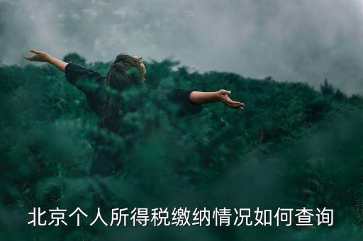 北京地稅個(gè)人如何查詢(xún)，如何查詢(xún)個(gè)人所得稅繳稅記錄