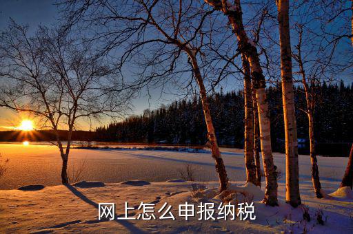 在地稅務(wù)局網(wǎng)上如何報(bào)稅，稅務(wù)申報(bào)如何網(wǎng)上申報(bào)