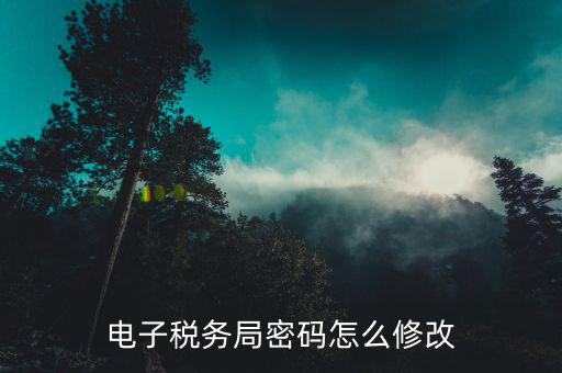 如何設置電子納稅用戶密碼，電子稅務局登錄密碼怎么設置