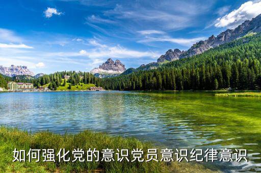 如何強化黨的意識黨員意識紀律意識