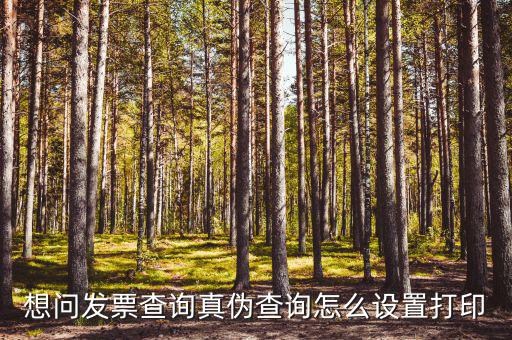 想問(wèn)發(fā)票查詢真?zhèn)尾樵冊(cè)趺丛O(shè)置打印