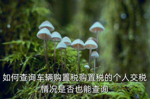 如何查詢車輛購置稅購置稅的個(gè)人交稅情況是否也能查詢