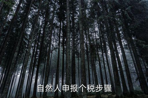 自然人稅收如何申報(bào)表，自然人申報(bào)個(gè)稅步驟