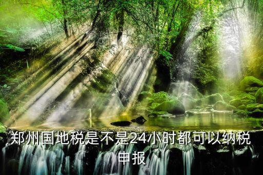 鄭州如何進(jìn)行地稅網(wǎng)上申報，鄭州國地稅是不是24小時都可以納稅申報