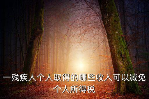 殘疾人減免個稅如何做賬，有殘疾人免稅證明在個人所得稅申報系統(tǒng)中如何填寫急