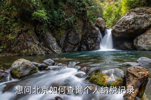 如何查詢北京納稅申報(bào)，納稅申報(bào)表在哪里查詢