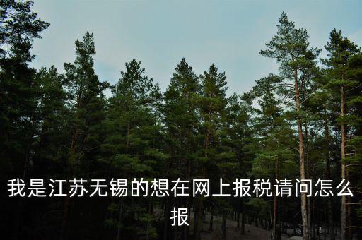 我是江蘇無錫的想在網(wǎng)上報(bào)稅請(qǐng)問怎么報(bào)