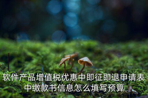 即征即退的退稅申請表如何填寫，軟件產品增值稅優(yōu)惠中即征即退申請表中繳款書信息怎么填寫預算