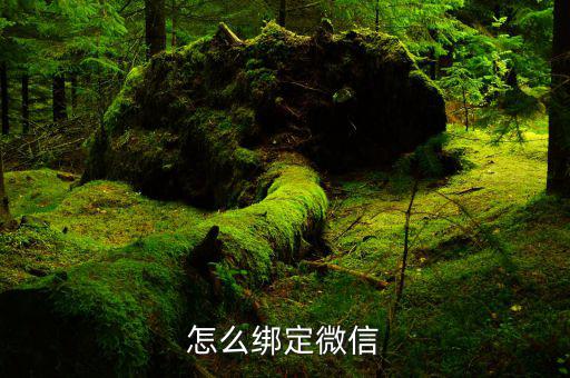 微信如何綁定深圳國稅，怎么綁定微信