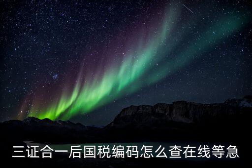 個(gè)人稅務(wù)編號(hào)如何查，請(qǐng)問(wèn)在哪里可以查到納稅人編碼