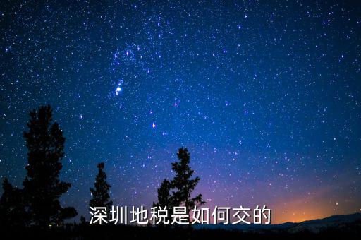 深圳市國家稅務局如何交稅，深圳市公司網(wǎng)上報國稅要這么操作啊