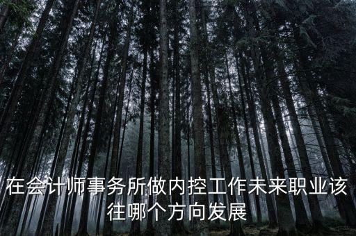 稅務(wù)內(nèi)控工作如何，如何搞好稅務(wù)所管理員內(nèi)控機(jī)制建設(shè)