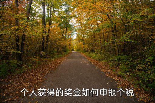 如何將獎(jiǎng)金的稅款繳納至稅務(wù)局，個(gè)人獲得的獎(jiǎng)金如何申報(bào)個(gè)稅