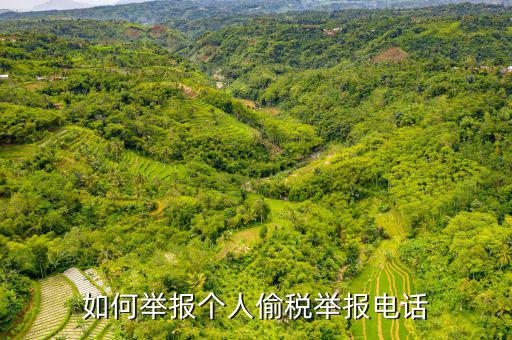 如何去稽查局 舉報(bào)電話，如何舉報(bào)個人偷稅舉報(bào)電話