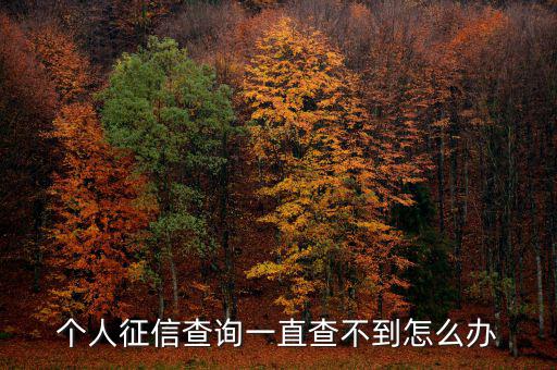 個(gè)人征信查詢(xún)一直查不到怎么辦