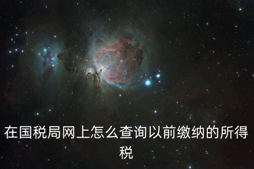 在國稅局網上怎么查詢以前繳納的所得稅