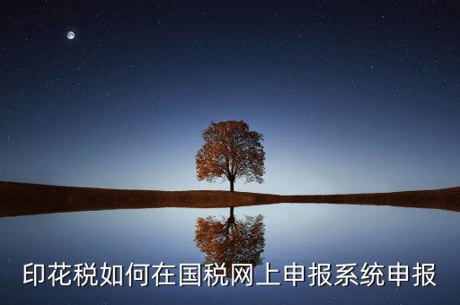 如何在網(wǎng)上申報(bào)安徽印花稅，如何在網(wǎng)上進(jìn)行印花稅的申報(bào)和繳納